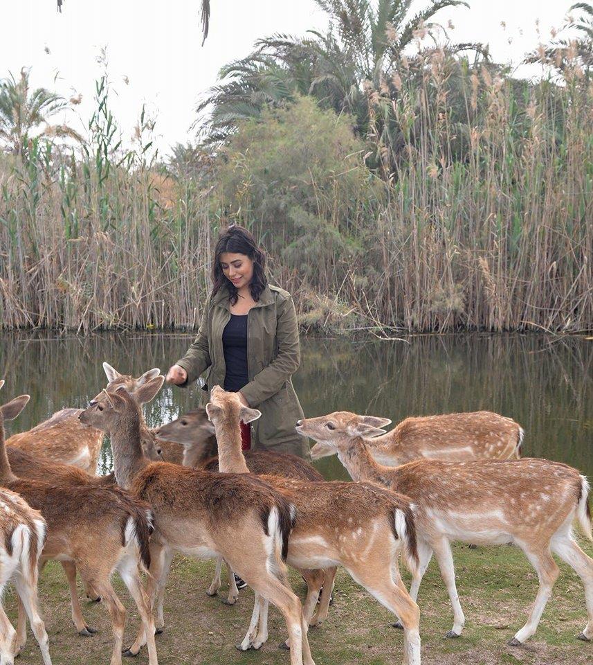 صور| حديقة الحيوان تتزين بـ«مسك» سفيرة مصر للسياحة العربية 20180216232527257