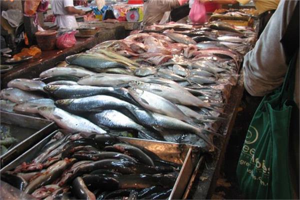  أسعار الأسماك في سوق العبور اليوم